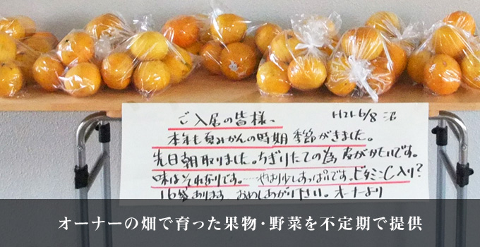 オーナーの畑で育った果物・野菜を不定期で提供